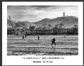 “寻找最美茶坑村”摄影大赛获奖作品欣赏(10)_在线影展的作品