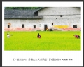 “韶关始兴、丹霞山三天采风团”摄影作品欣赏(11)_在线影展的作品