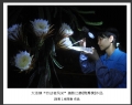 大泽镇“劳动者风采”摄影比赛获奖作品欣赏(13)_在线影展的作品