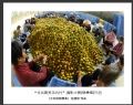 “寻找最美茶坑村”摄影大赛获奖作品欣赏(21)_在线影展的作品