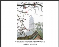 “寻找最美茶坑村”摄影大赛获奖作品欣赏(23)_在线影展的作品