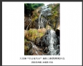 大泽镇“劳动者风采”摄影比赛获奖作品欣赏(23)_在线影展的作品
