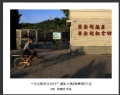 “寻找最美茶坑村”摄影大赛获奖作品欣赏(25)_在线影展的作品