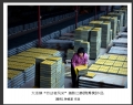 大泽镇“劳动者风采”摄影比赛获奖作品欣赏(28)_在线影展的作品