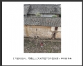 “韶关始兴、丹霞山三天采风团”摄影作品欣赏(28)_在线影展的作品
