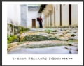 “韶关始兴、丹霞山三天采风团”摄影作品欣赏(46)_在线影展的作品