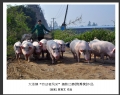 大泽镇“劳动者风采”摄影比赛获奖作品欣赏(7)_在线影展的作品