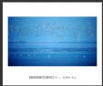 夏章烈“银湖湾候鸟”系列摄影作品欣赏(13)_在线影展的作品