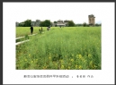 新会公安协会会员开平外拍活动作品欣赏(10)_在线影展的作品
