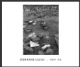 冯耀华“梦回吴哥”摄影作品欣赏(10)_在线影展的作品