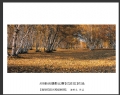 ABB新会摄影比赛获奖作品欣赏(10)_在线影展的作品