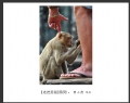 新会摄影协会“走进吴哥”摄影作品欣赏(10)_在线影展的作品