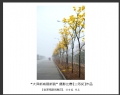 “大泽新城展新貌”摄影比赛获奖作品欣赏(26)_在线影展的作品
