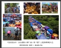 “理想国旅杯―旅游摄影大赛”第二季比赛获奖作品欣赏(10)_在线影展的作品