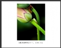 夏章烈 作品(3)_夏章烈的作品