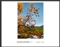陈立文“秋到宏村”摄影作品欣赏(5)_在线影展的作品
