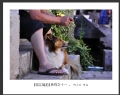 何小兰 作品(5)_何小兰的作品