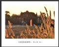 新会摄影协会“走进吴哥”摄影作品欣赏(11)_在线影展的作品