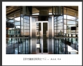陈立武“浮光魅影”摄影作品欣赏(5)_在线影展的作品