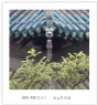 陈立武《晋祠.雨意》系列摄影作品欣赏(12)_在线影展的作品