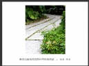 新会公安协会会员开平外拍活动作品欣赏(13)_在线影展的作品