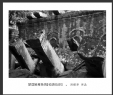 冯耀华“梦回吴哥”摄影作品欣赏(13)_在线影展的作品