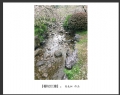 新会水务摄影协会会员作品欣赏(13)_在线影展的作品