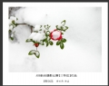 ABB新会摄影比赛获奖作品欣赏(13)_在线影展的作品