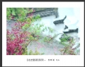 新会摄影协会“走进婺源”摄影作品欣赏(16)_在线影展的作品