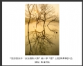 “理想国旅杯―旅游摄影大赛”第二季比赛获奖作品欣赏(13)_在线影展的作品