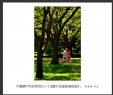 黄荣超“行摄澳大利亚”摄影作品欣赏(14)_在线影展的作品
