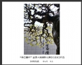 “森芭蕾杯”盆景大展摄影比赛获奖作品欣赏(14)_在线影展的作品