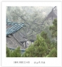 陈立武《晋祠.雨意》系列摄影作品欣赏(14)_在线影展的作品