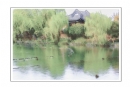 柳强《西湖翠柳四月天》摄影作品欣赏(18)_在线影展的作品