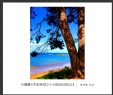 黄荣超“行摄澳大利亚”摄影作品欣赏(15)_在线影展的作品