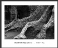 冯耀华“梦回吴哥”摄影作品欣赏(15)_在线影展的作品