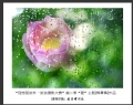 “理想国旅杯―旅游摄影大赛”第二季比赛获奖作品欣赏(15)_在线影展的作品