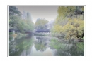 柳强《西湖翠柳四月天》摄影作品欣赏(19)_在线影展的作品