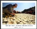  广东省摄影家协会“摄影大篷车下基层”（新会睦洲站）摄影比赛获奖作品欣赏(16)_在线影展的作品