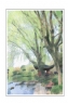 柳强《西湖翠柳四月天》摄影作品欣赏(3)_在线影展的作品