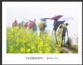 新会摄影协会“走进婺源”摄影作品欣赏(20)_在线影展的作品