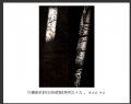 陈立武“昨日的辉煌”摄影作品欣赏(19)_在线影展的作品
