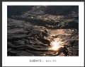 新会水务摄影协会会员作品欣赏(19)_在线影展的作品