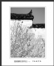 陈立武“画意徽居”摄影作品欣赏(19)_在线影展的作品