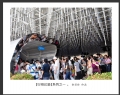 余丽珍 作品(15)_余丽珍的作品