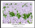 ABB新会摄影比赛获奖作品欣赏(1)_在线影展的作品