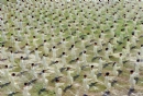 黄沃鑫--《全民健身》_在线影展的作品