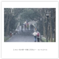 黄永照2013.杭州第一场雪作品欣赏
