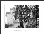 陈立武“画意徽居”摄影作品欣赏