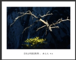 陈立文